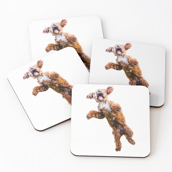 Item preview, Mad Cockapoo 2 designed and sold by Paul Thompson Photography.