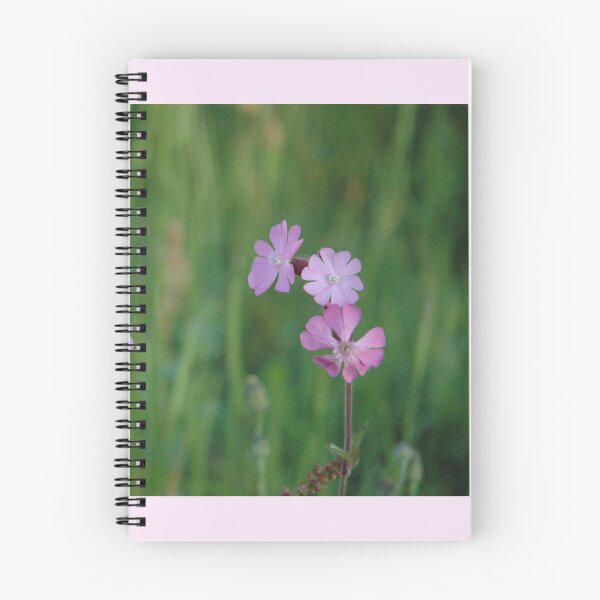 Item preview, Red Campion designed and sold by Photos-by-Eddie.