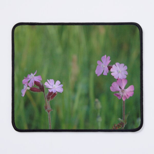 Item preview, Red Campion designed and sold by Photos-by-Eddie.