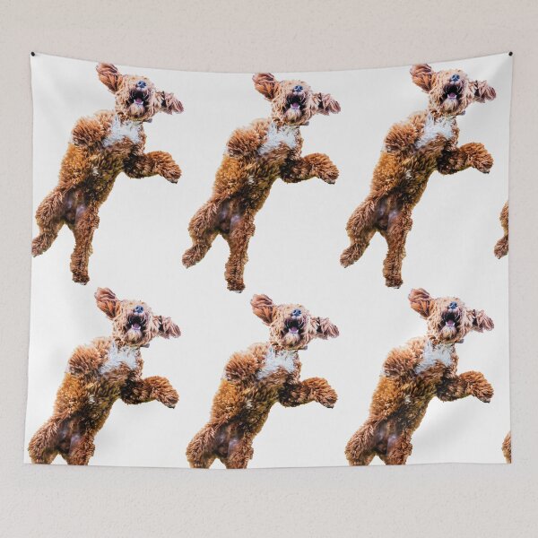 Item preview, Mad Cockapoo 3 designed and sold by Paul Thompson Photography.