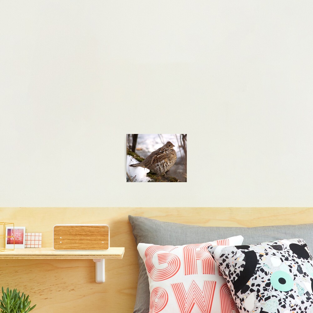 Item preview, Photographic Print designed and sold by DigitallyStill.