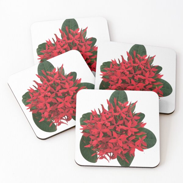 Item preview, Chinese ixora - flower designed and sold by thatam.