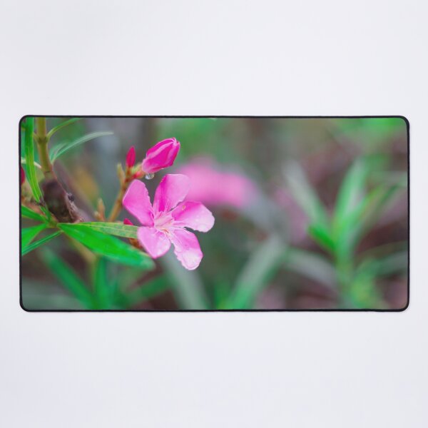 Item preview, cute pink flowers and green small flowers, small pink flowers, Nerium oleander, oleander or Nerium designed and sold by MiMee4451.
