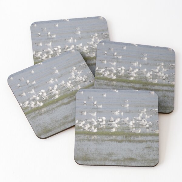 Item preview, Gulls designed and sold by Calidris Fotografie Steffi & Ben Köppler.