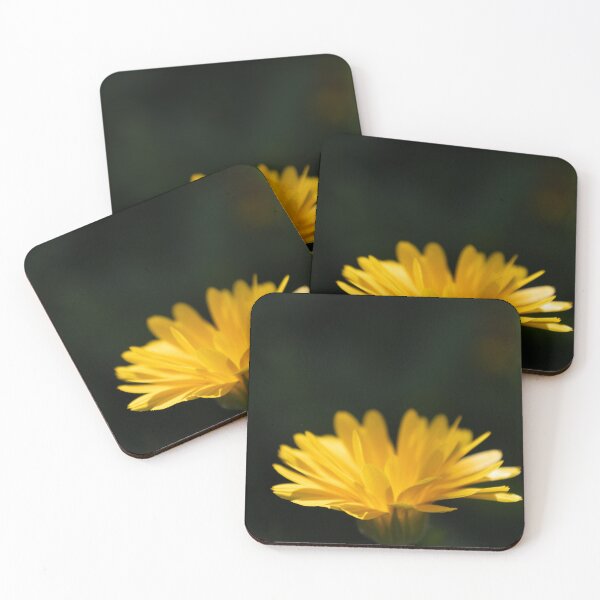 Item preview, Common Marigold designed and sold by Calidris Fotografie Steffi & Ben Köppler.