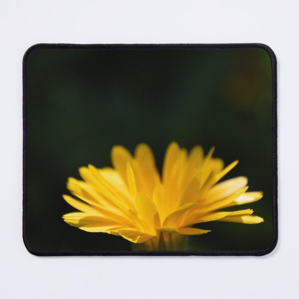 Item preview, Common Marigold designed and sold by Calidris Fotografie Steffi & Ben Köppler.