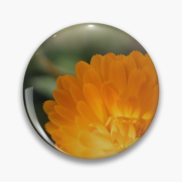 Item preview, Common Marigold designed and sold by Calidris Fotografie Steffi & Ben Köppler.