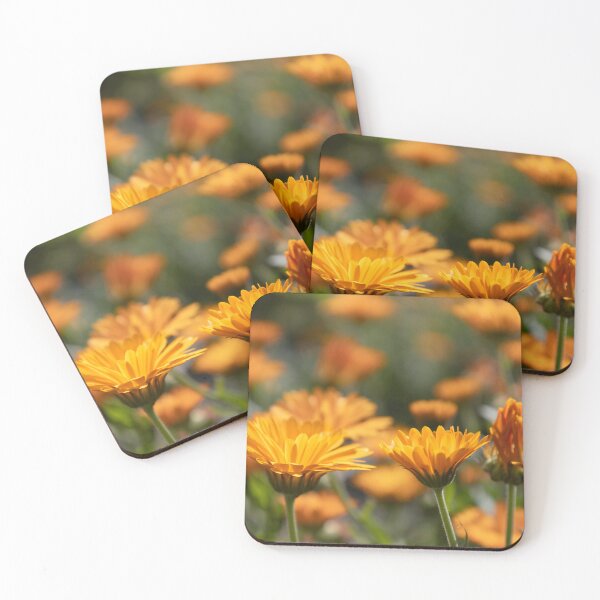Item preview, Common Marigold designed and sold by Calidris Fotografie Steffi & Ben Köppler.