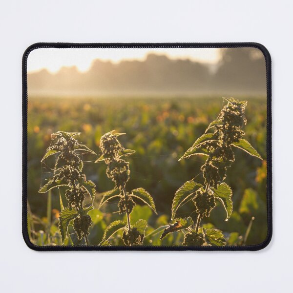 Item preview, Stinging Nettle designed and sold by Calidris Fotografie Steffi & Ben Köppler.