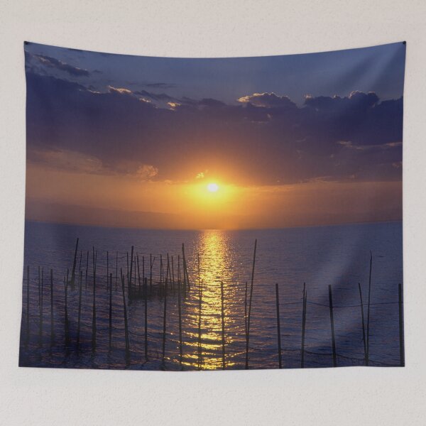 Item preview, Parc Natural de l'Albufera de València, Spain 2015 designed and sold by Michel Meijer.