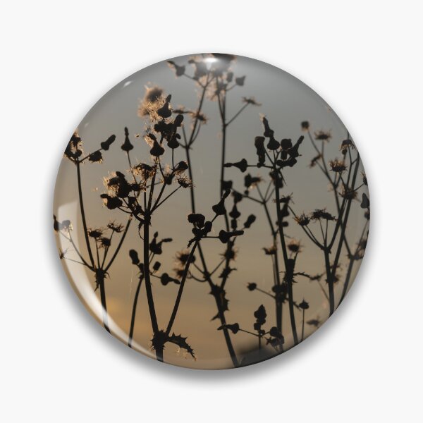 Item preview, Corn Thistle designed and sold by Calidris Fotografie Steffi & Ben Köppler.