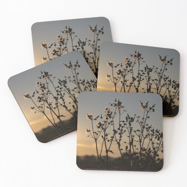 Item preview, Corn Thistle designed and sold by Calidris Fotografie Steffi & Ben Köppler.
