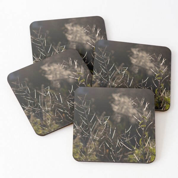 Item preview, Plant in Backlight designed and sold by Calidris Fotografie Steffi & Ben Köppler.