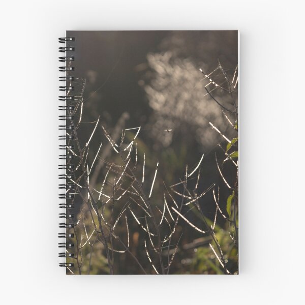 Item preview, Plant in Backlight designed and sold by Calidris Fotografie Steffi & Ben Köppler.