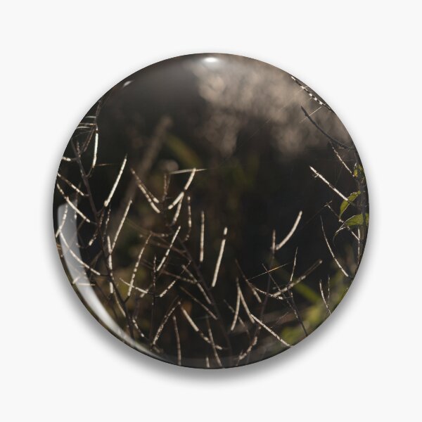 Item preview, Plant in Backlight designed and sold by Calidris Fotografie Steffi & Ben Köppler.