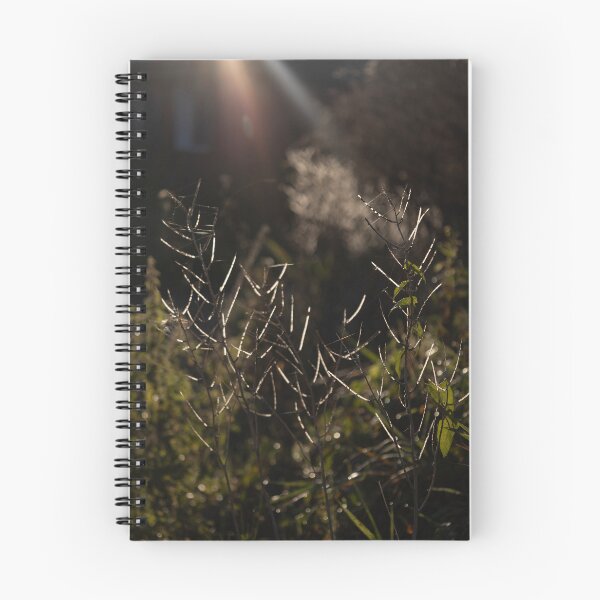 Item preview, Plant in Backlight designed and sold by Calidris Fotografie Steffi & Ben Köppler.