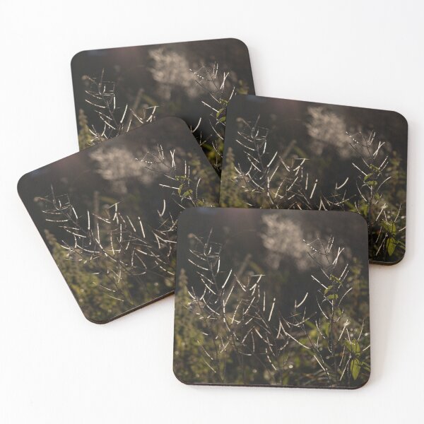 Item preview, Plant in Backlight designed and sold by Calidris Fotografie Steffi & Ben Köppler.