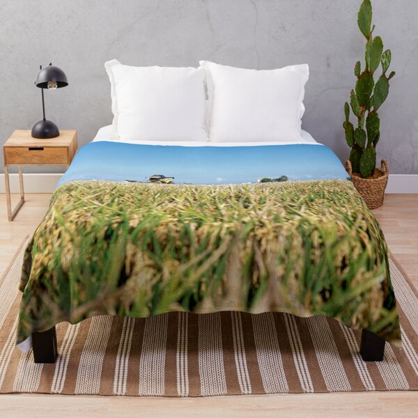 Item preview, Parc Natural de l'Albufera de València, Spain 2015 designed and sold by Michel Meijer.