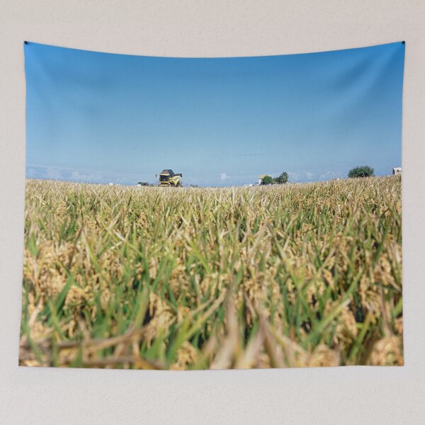Item preview, Parc Natural de l'Albufera de València, Spain 2015 designed and sold by Michel Meijer.