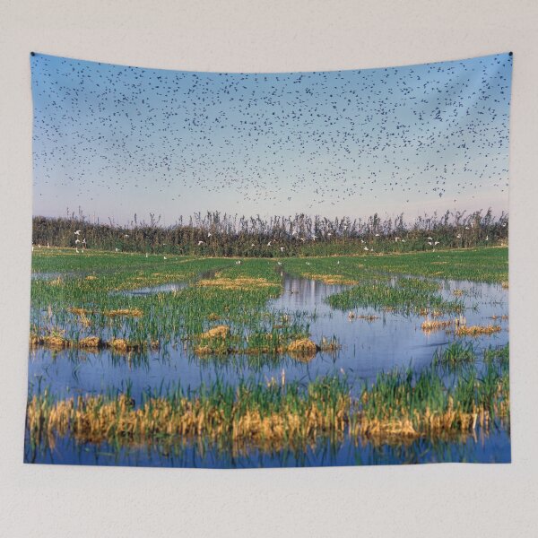 Item preview, Parc Natural de l'Albufera de València, Spain 2014 designed and sold by Michel Meijer.
