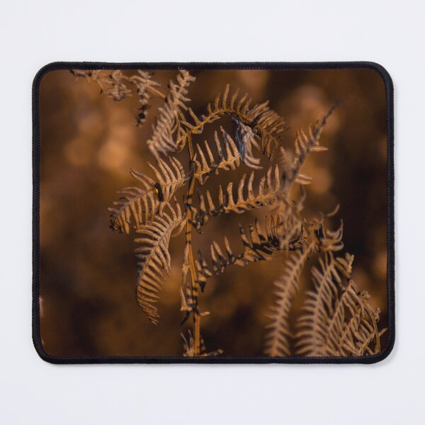Item preview, Fern macro photography designed and sold by Falcaria.
