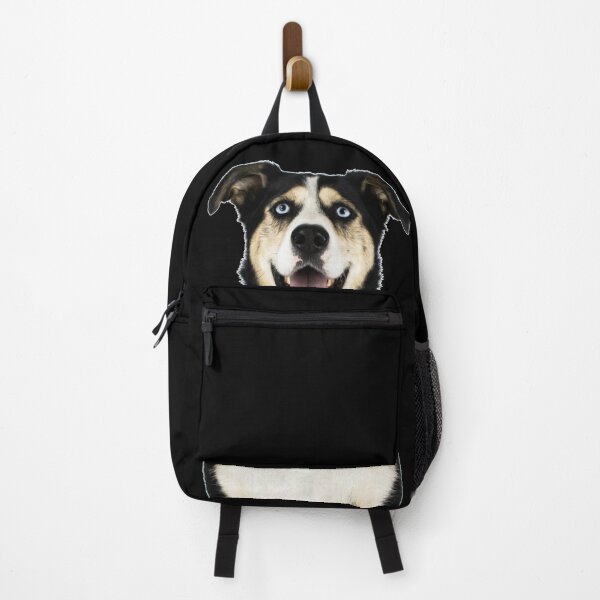 Item preview, Welcome Home Blue Eyed Alaskan Husky designed and sold by Polarctica.