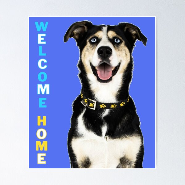 Item preview, Welcome Home Blue Eyed Alaskan Husky designed and sold by Polarctica.