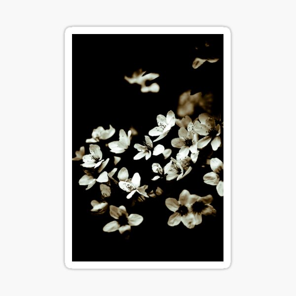 Plum Blossoms Sticker