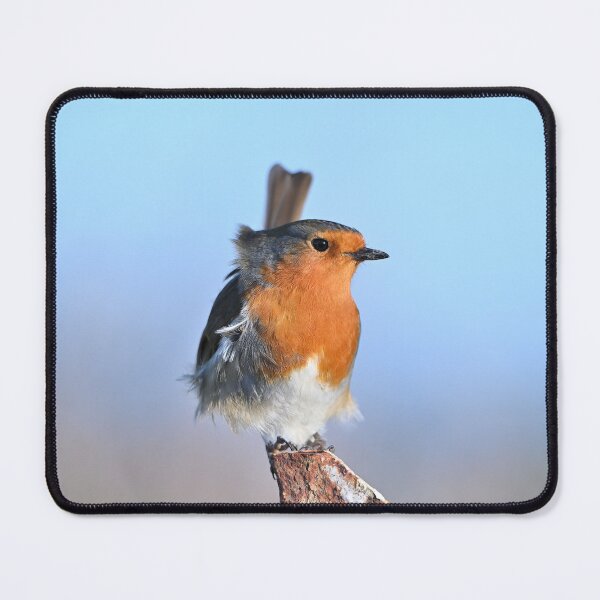 Item preview, Little Poser designed and sold by ClaireChown.