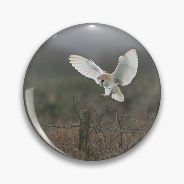 Item preview, Angel Wings designed and sold by ClaireChown.