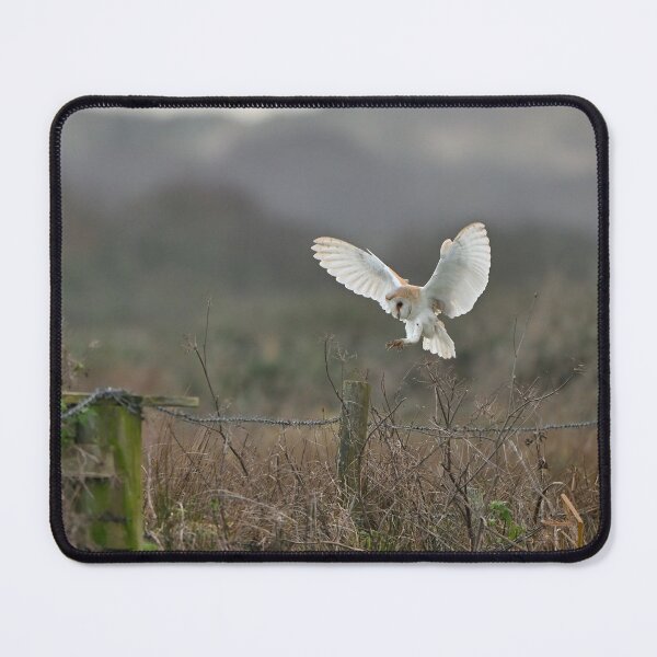 Item preview, Angel Wings designed and sold by ClaireChown.