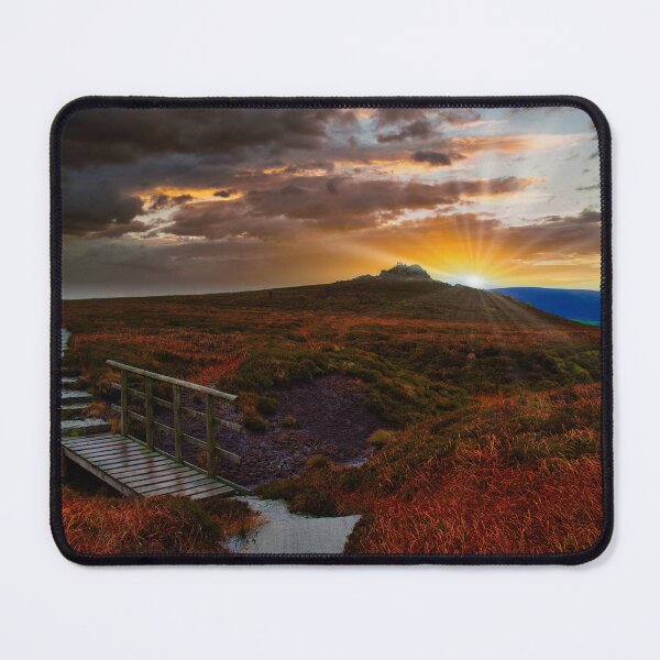 Item preview, Simons Seat designed and sold by James Elkington.