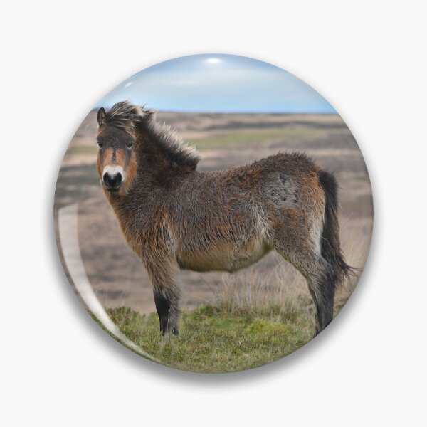 Item preview, Exmoor Pony on The Moor. designed and sold by ClaireChown.
