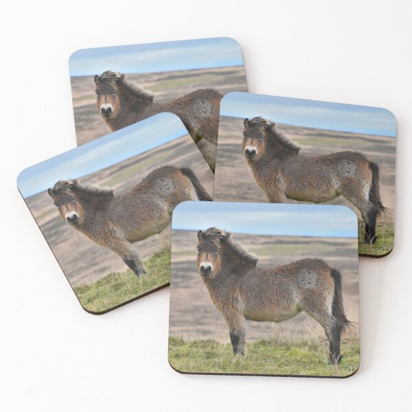 Item preview, Exmoor Pony on The Moor. designed and sold by ClaireChown.