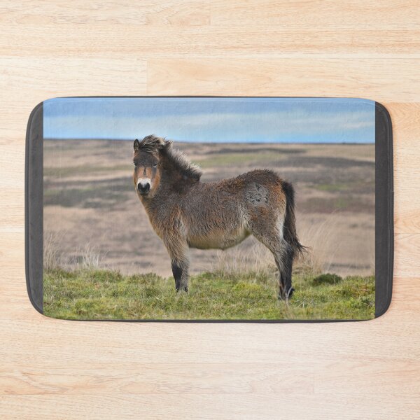 Item preview, Exmoor Pony on The Moor. designed and sold by ClaireChown.