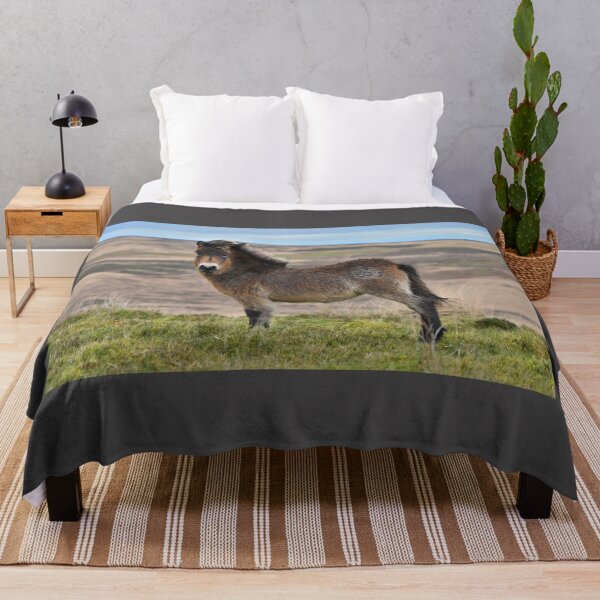 Item preview, Exmoor Pony on The Moor. designed and sold by ClaireChown.