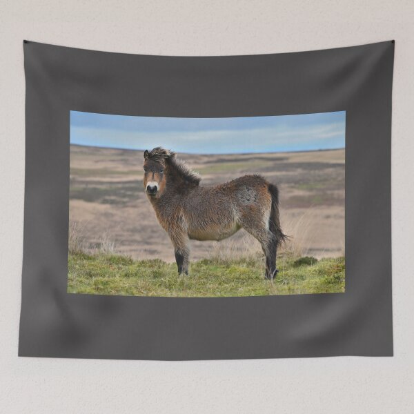 Item preview, Exmoor Pony on The Moor. designed and sold by ClaireChown.