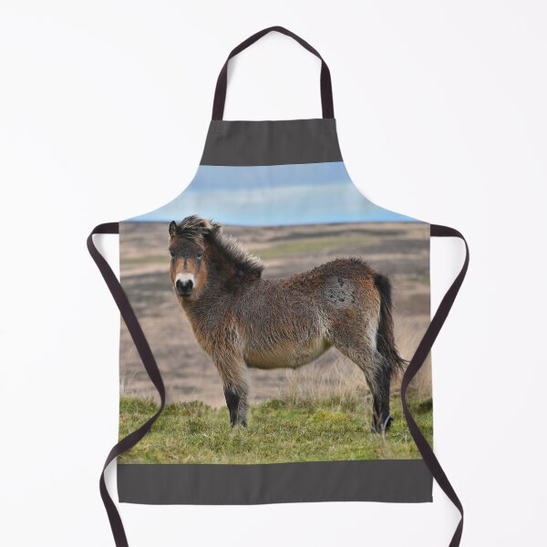 Item preview, Exmoor Pony on The Moor. designed and sold by ClaireChown.