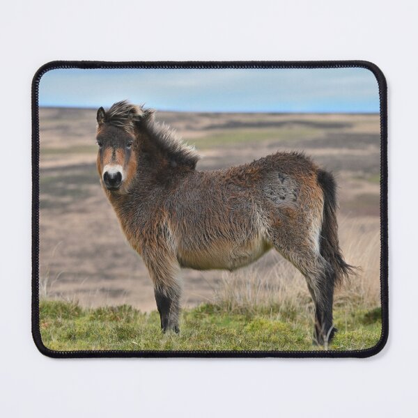 Item preview, Exmoor Pony on The Moor. designed and sold by ClaireChown.
