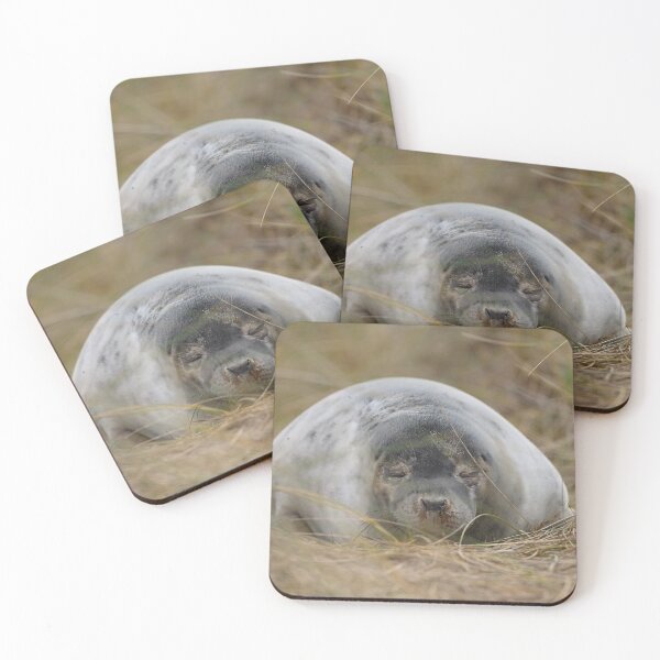 Item preview, Sleepy Seal designed and sold by ClaireChown.