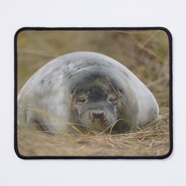 Item preview, Sleepy Seal designed and sold by ClaireChown.