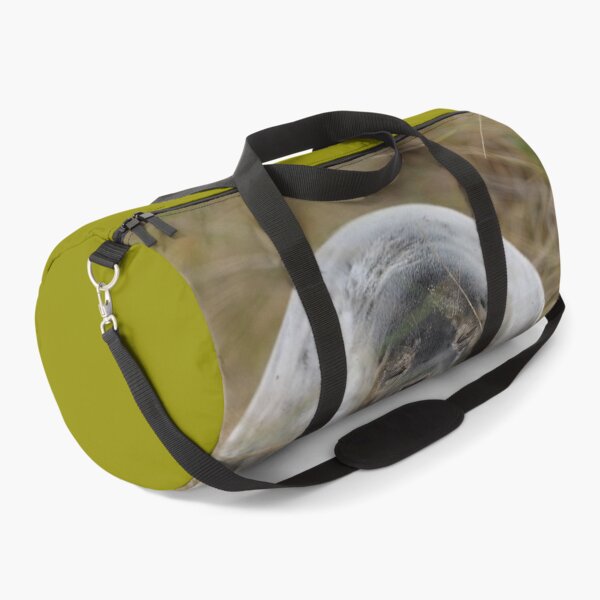 Item preview, Sleepy Seal designed and sold by ClaireChown.