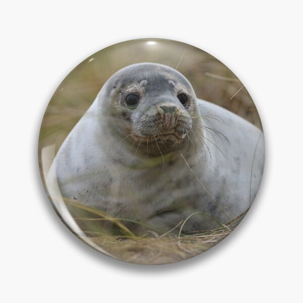 Item preview, Inquisitive Seal Pup designed and sold by ClaireChown.