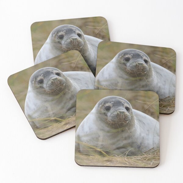 Item preview, Inquisitive Seal Pup designed and sold by ClaireChown.