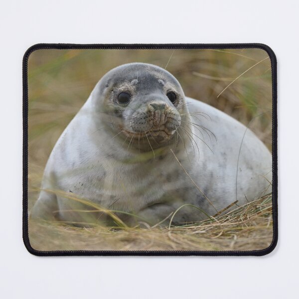 Item preview, Inquisitive Seal Pup designed and sold by ClaireChown.