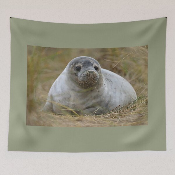 Item preview, Inquisitive Seal Pup designed and sold by ClaireChown.