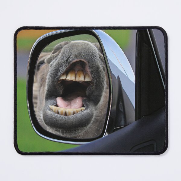 Item preview, Donkey In The Mirror designed and sold by Surreallytee.