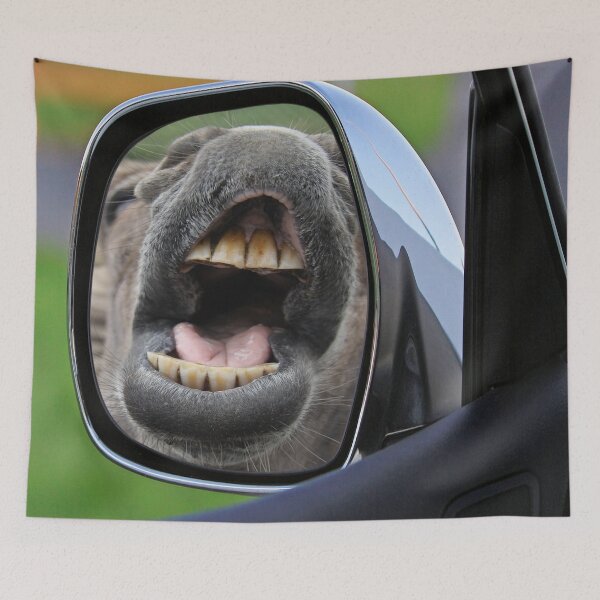 Item preview, Donkey In The Mirror designed and sold by Surreallytee.