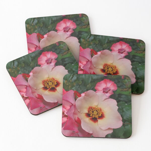 Item preview, Beauty In Pink designed and sold by Vicki Spindler (VHS Photography).