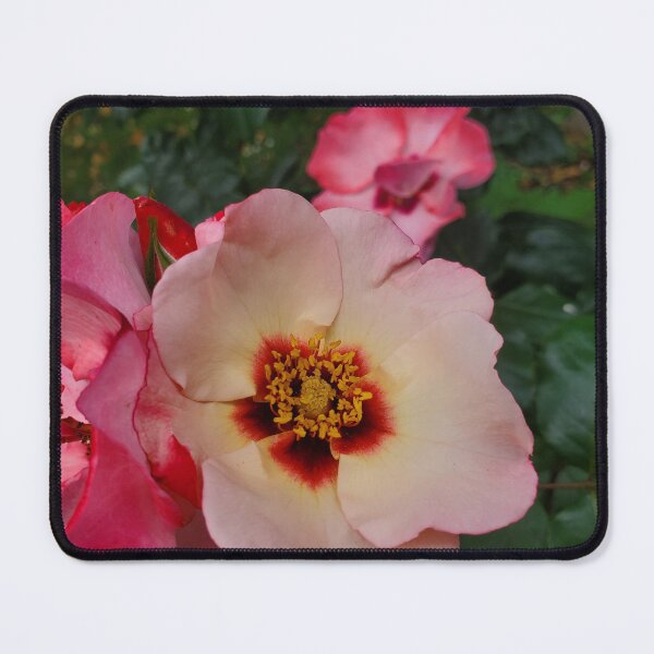 Item preview, Beauty In Pink designed and sold by Vicki Spindler (VHS Photography).